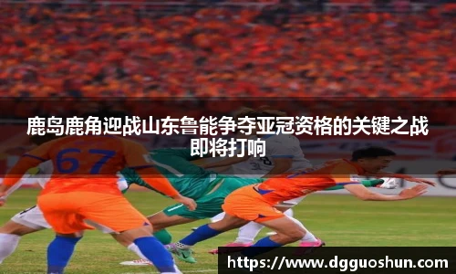 鹿岛鹿角迎战山东鲁能争夺亚冠资格的关键之战即将打响